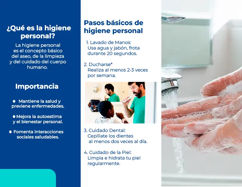 nelson-brochure-back.webp