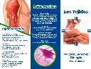 brochure-de-wylianni-1.webp